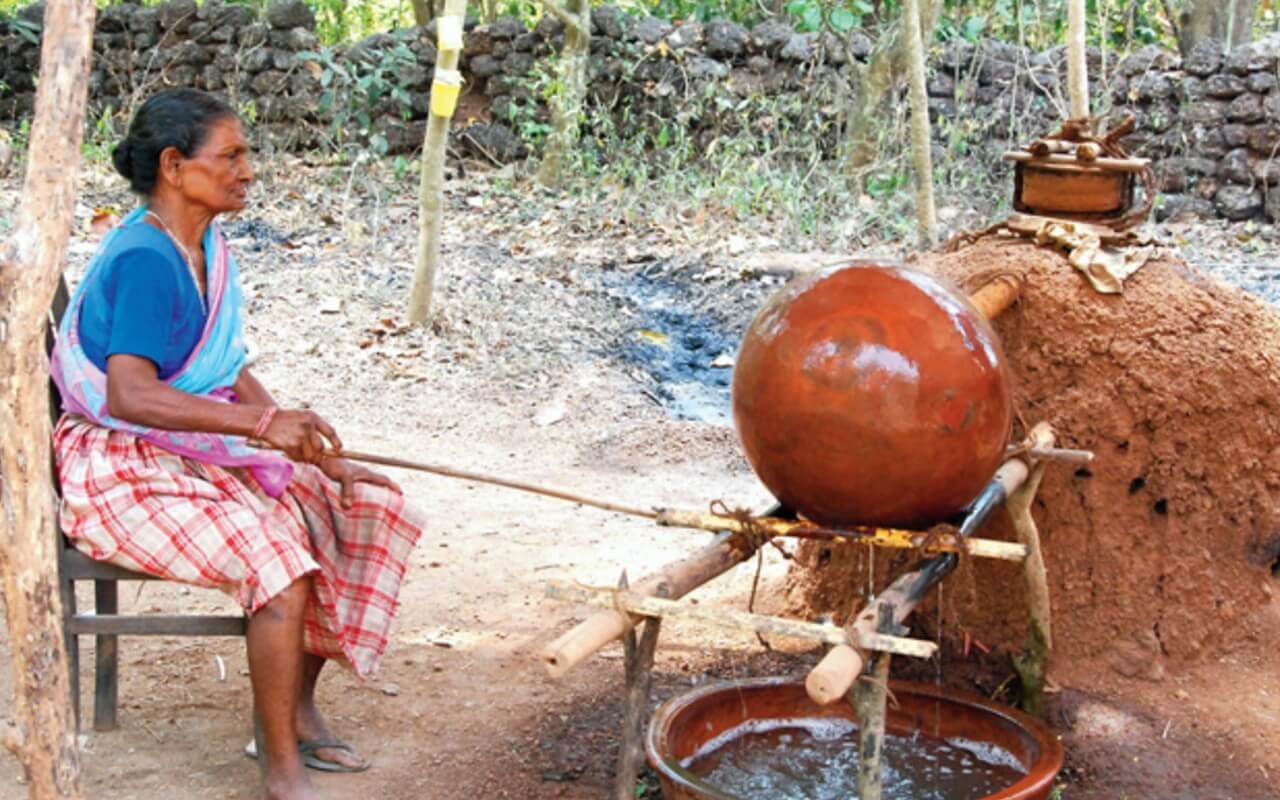 Traditional Goan Feni distillation