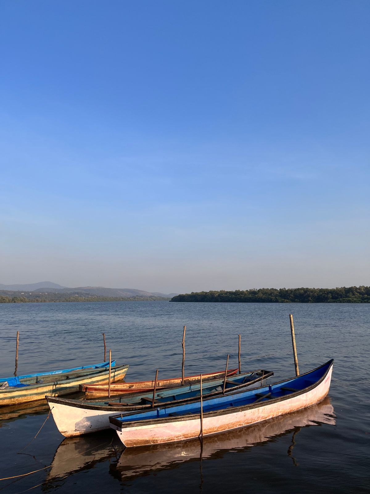 Colourful boats on a Goan river