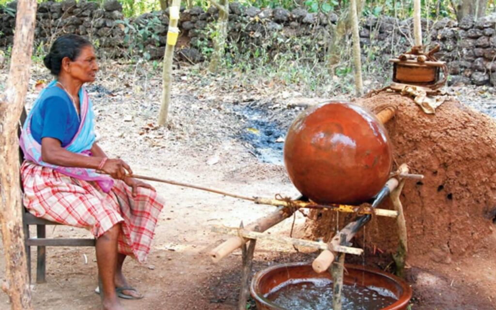 Traditional Goan Feni distillation